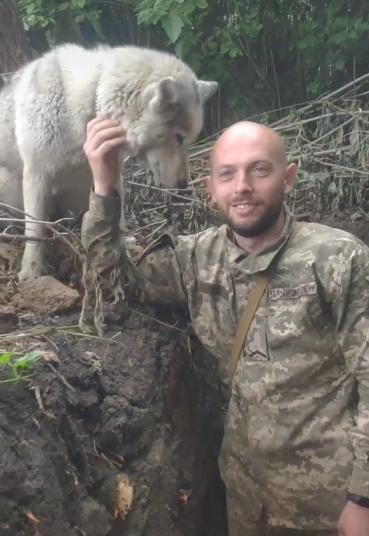 «Справжній лютововк»: українські захисники похизувалися неймовірним талісманом-охоронцем (ВІДЕО)