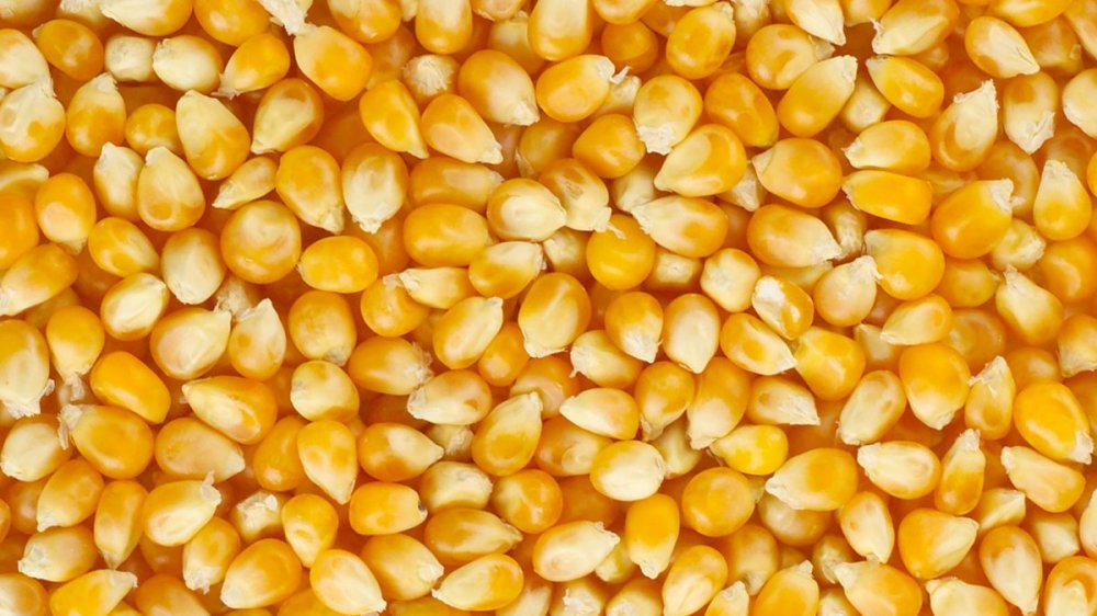 За перші тижні року Україна експортувала понад два млн тонн агропродукції – Кабмін