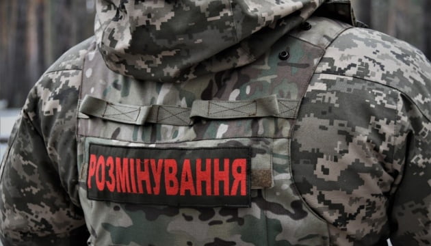 З розмінуванням Херсонщини допоможуть іноземні вибухотехніки з приватних фірм – ОВА