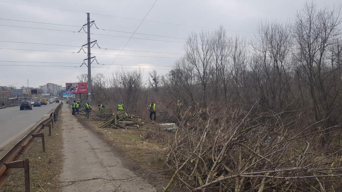 У Бучі озеленяють найбільш пошкоджену російськими окупантами вулицю