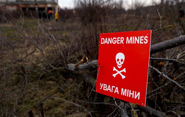 У Харківській області жінка пенсійного віку підірвалась на ворожій міні