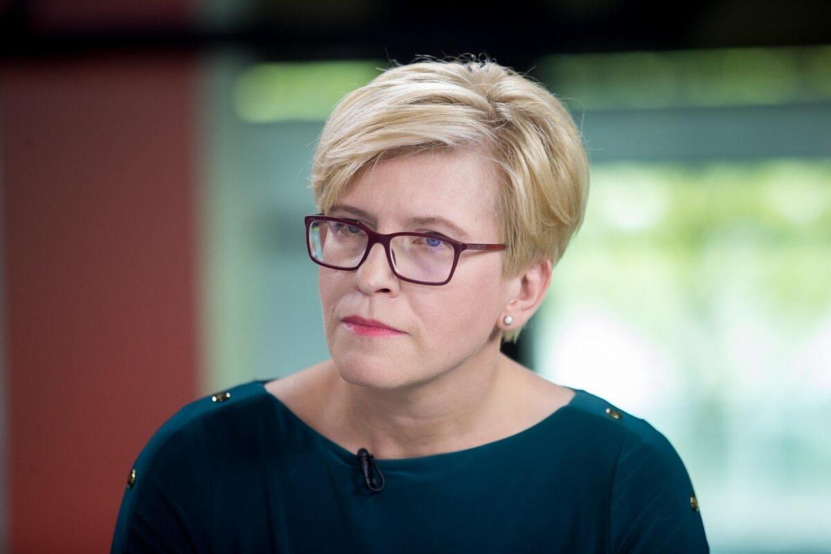 Литва закликає якнайшвидше надати Україні необхідне озброєння