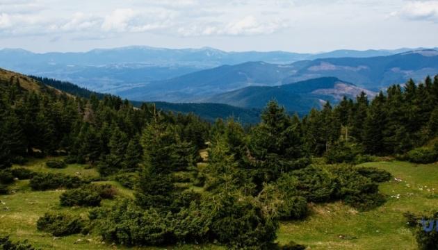 В Україні пропонують внести старовікові карпатські ліси до списку спадщини ЮНЕСКО