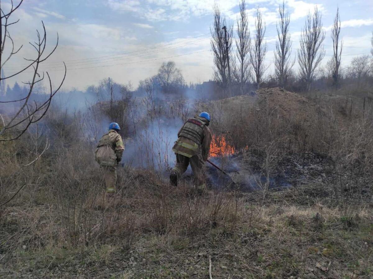 У Донецькій області зросла кількість пожеж на відкритих територіях – ДСНС