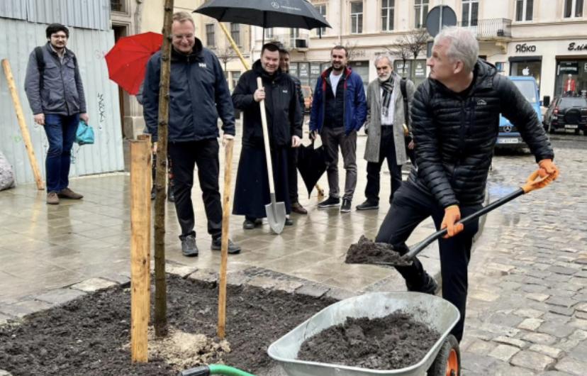 У Львові дерево на площі Ринок посадив Тімоті Снайдер