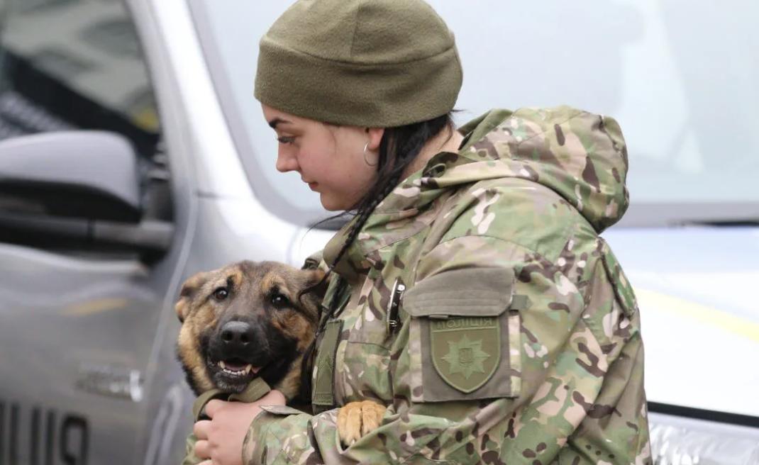 Україна отримала понад десять собак-саперів від Нідерландів
