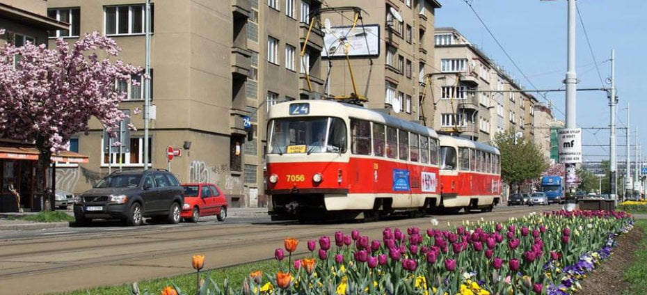 В Чехии отменили льготный проезд для украинцев в общественном транспорте: детали