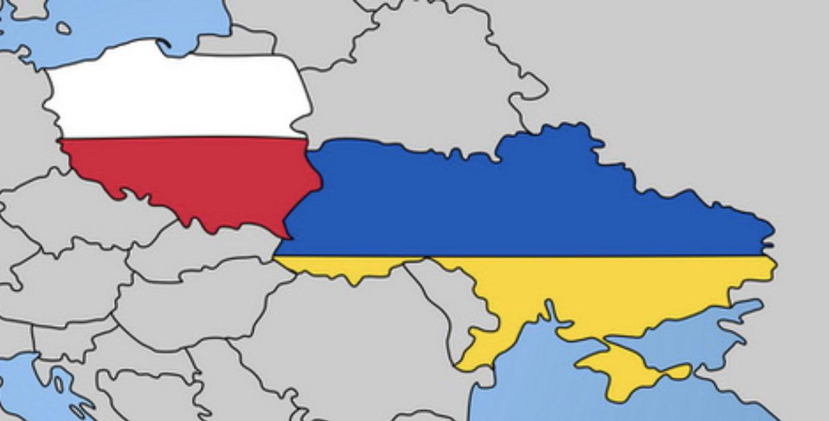 Стали відомі ключові відмінності навчання в українських та польських школах