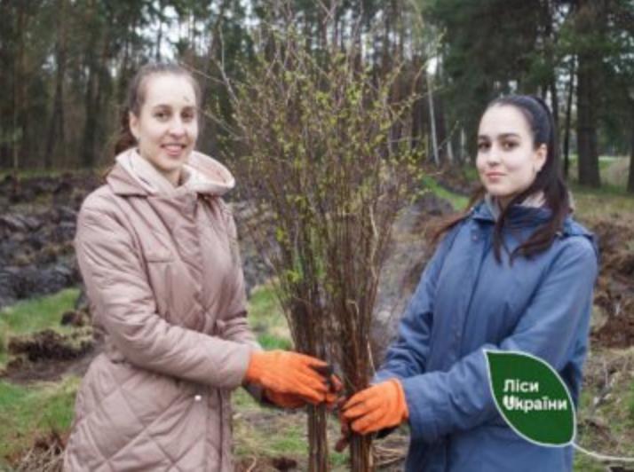 У Волинській області переселенці допомогли висаджувати зелену зону