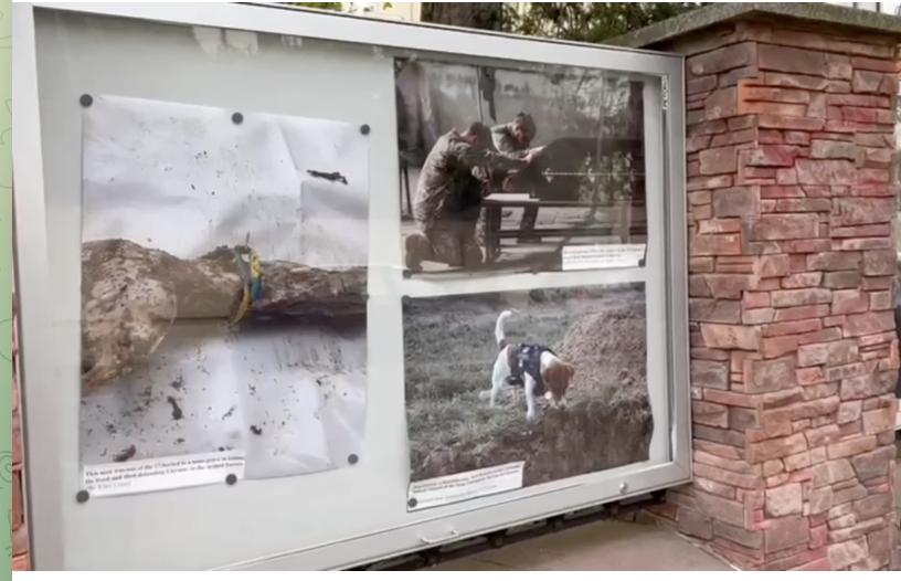 У столиці Чехії з’явилася стіна пам’яті та підтримки Бучі й України