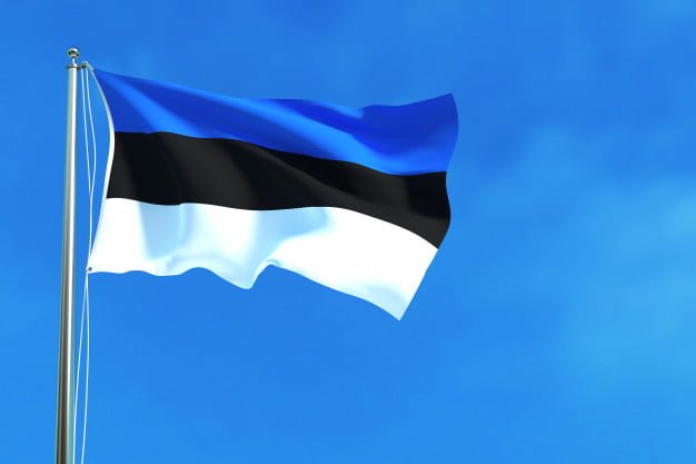 В Естонії не покарали чоловіка, який розтоптав прапор України: подробиці
