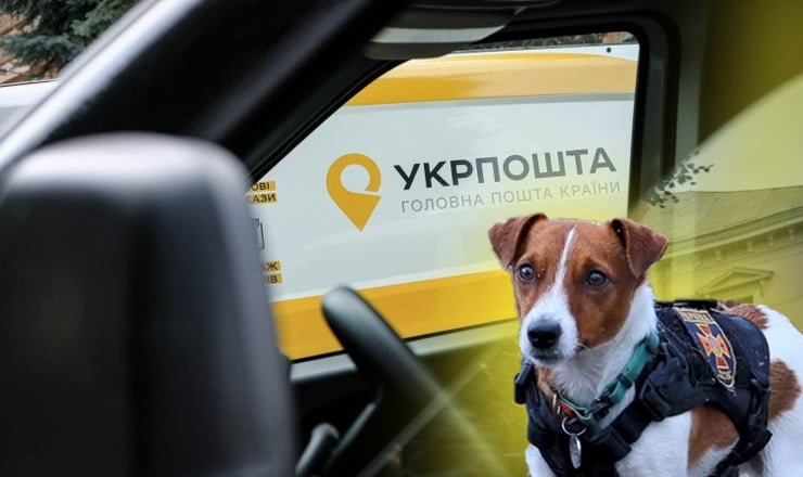 Укрпочта и пес Патрон профинансировали восстановление вольеров в Гостомельском приюте