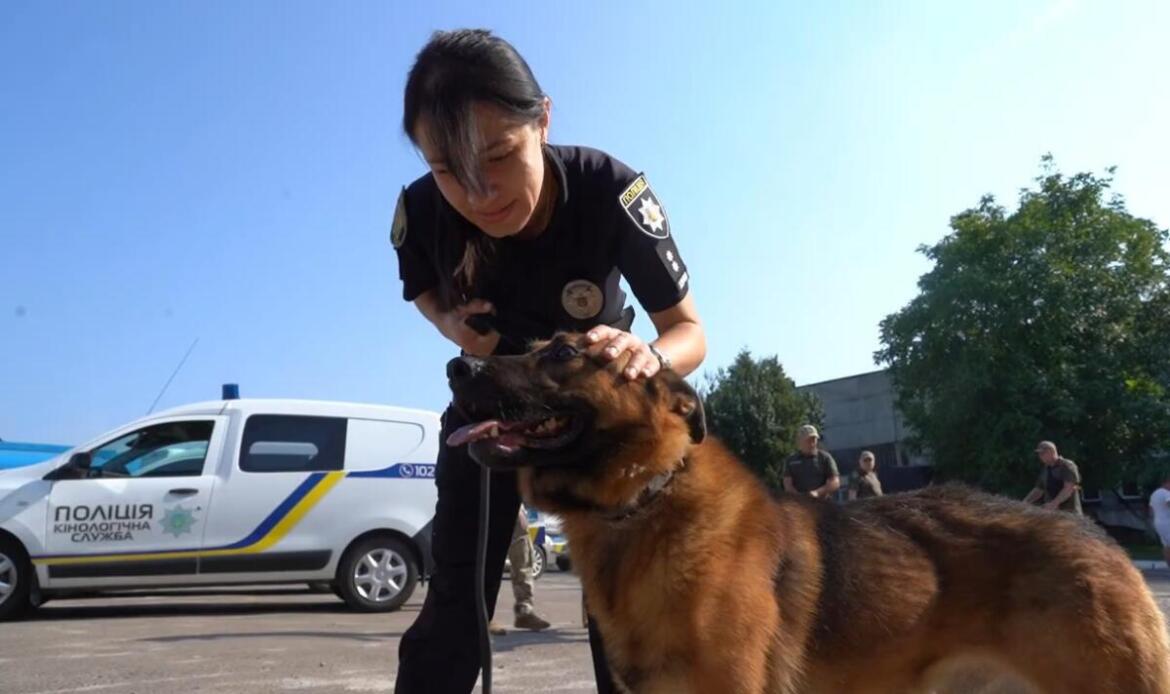 До Національної поліції України прибули понад 20 службових собак з Європи