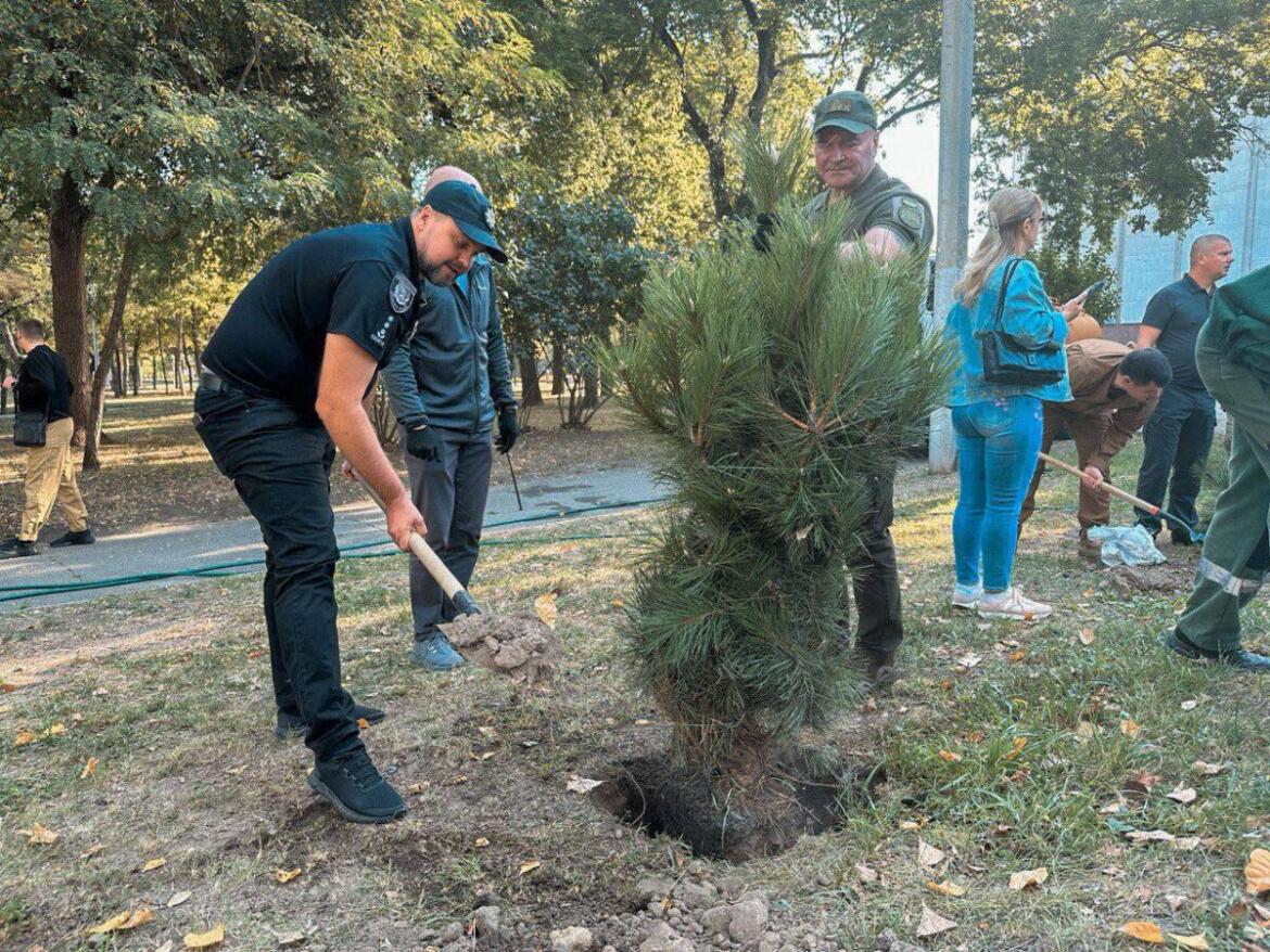 На честь захисників Луганщини у Дніпрі висадили алею з кримських сосен