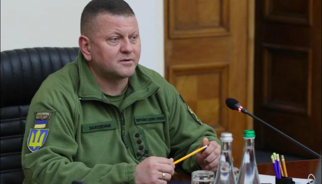 Валерій Залужний звернувся до матерів українських військовослужбовців