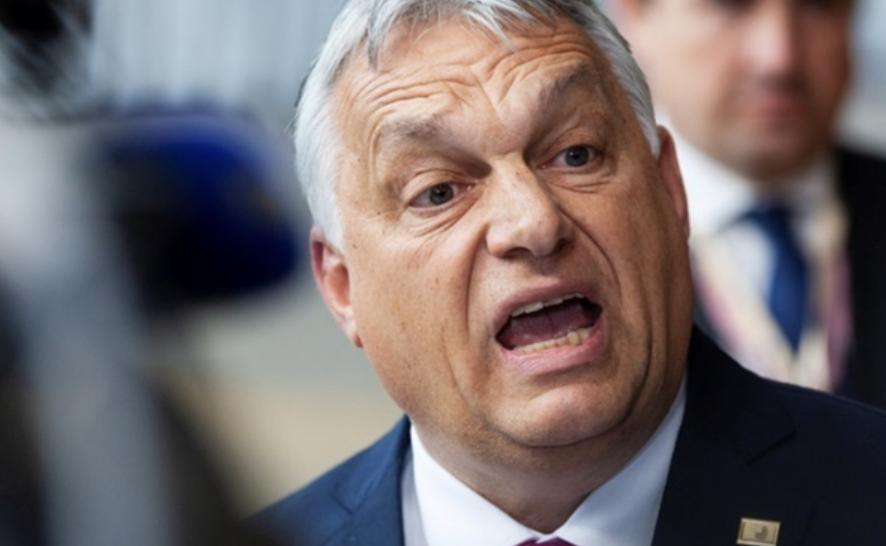 Європейський «колаборант путіна» заявив, що Україна не виграє війну