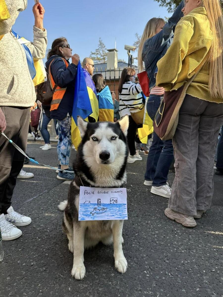 В Ірландії відбулись протести проти екоциду, який агресор чинить в Україні (ФОТО)