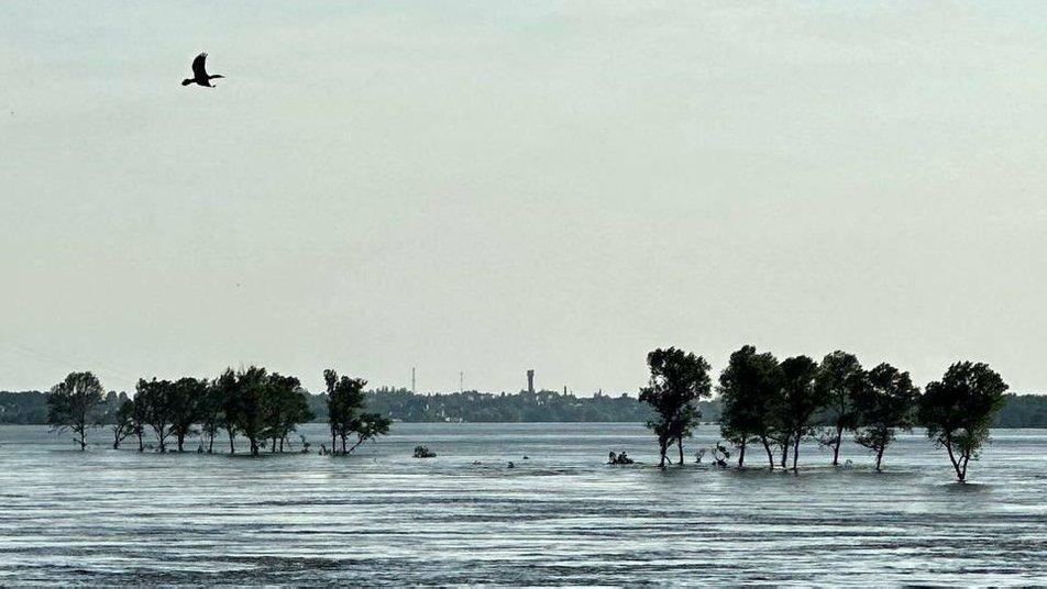 На Запоріжжі через підрив Каховської ГЕС 15 пам’яток археологічної спадщини під загрозою розкрадання