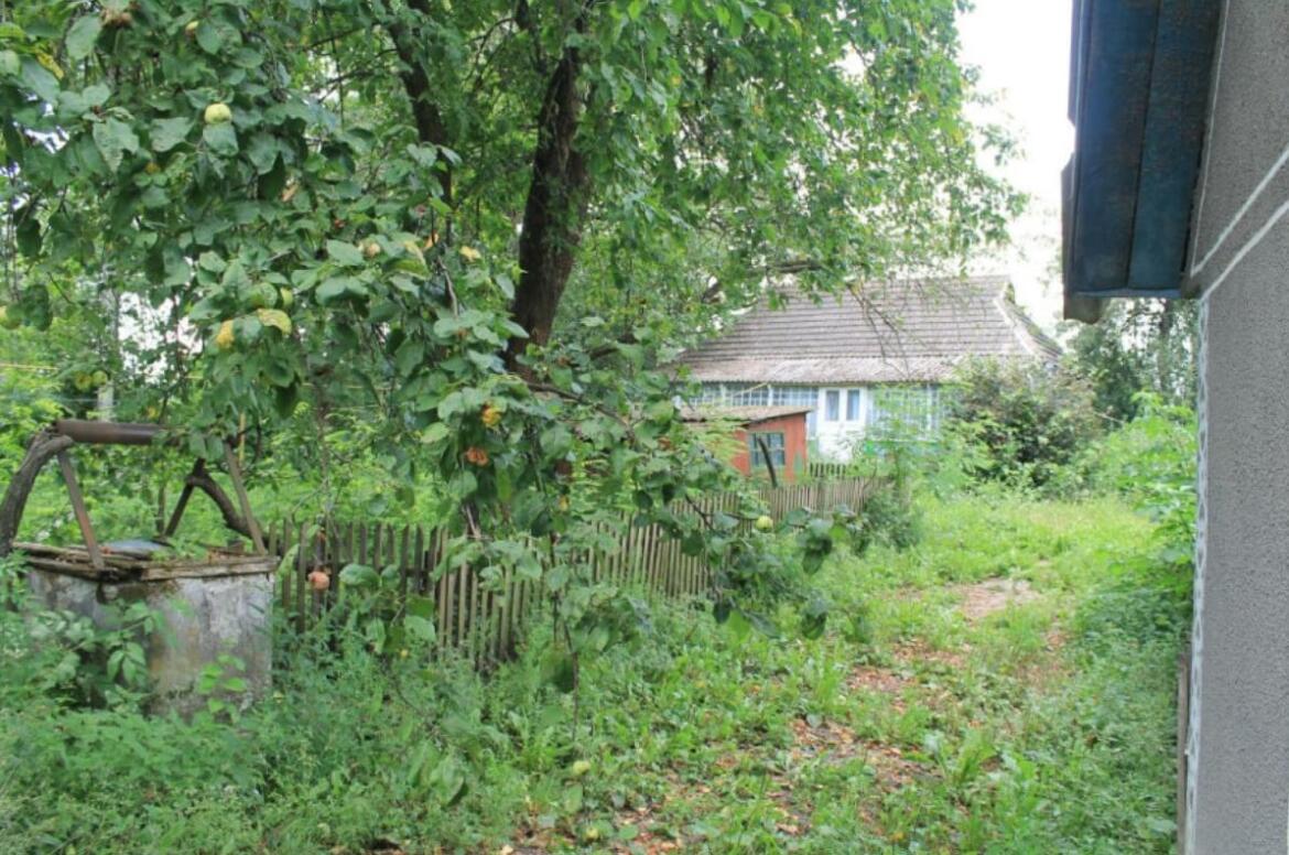 Психологиня з Хмельницького створила проєкт Сільська хата для постраждалих через війну