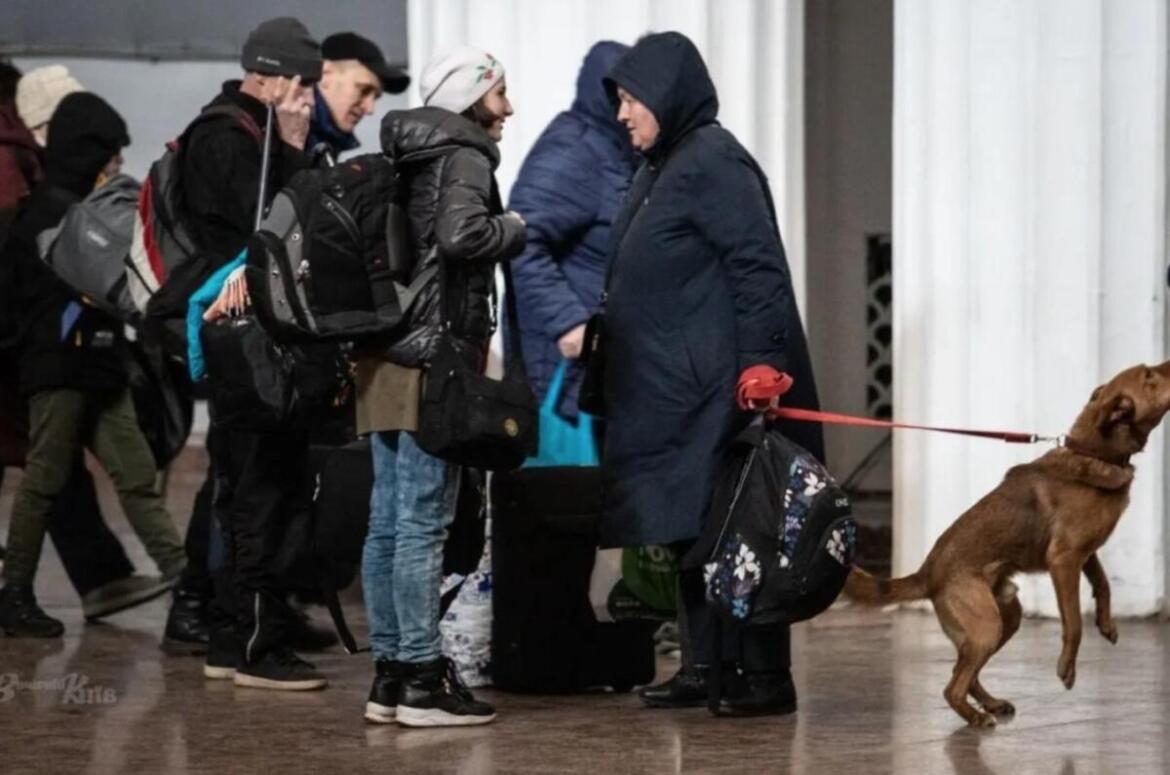 На Житомирщині продовжують надавати підтримку ВПО