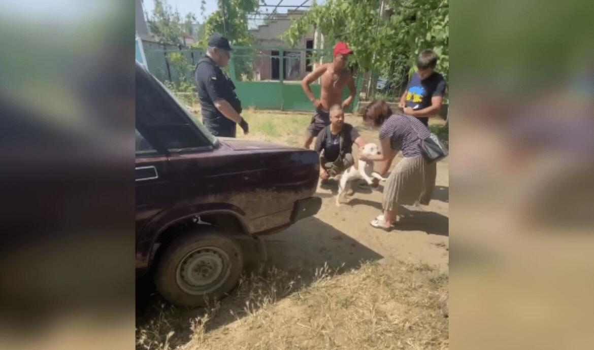 На Одещині у військового ЗСУ вкрали собаку, а потім вимагали викуп