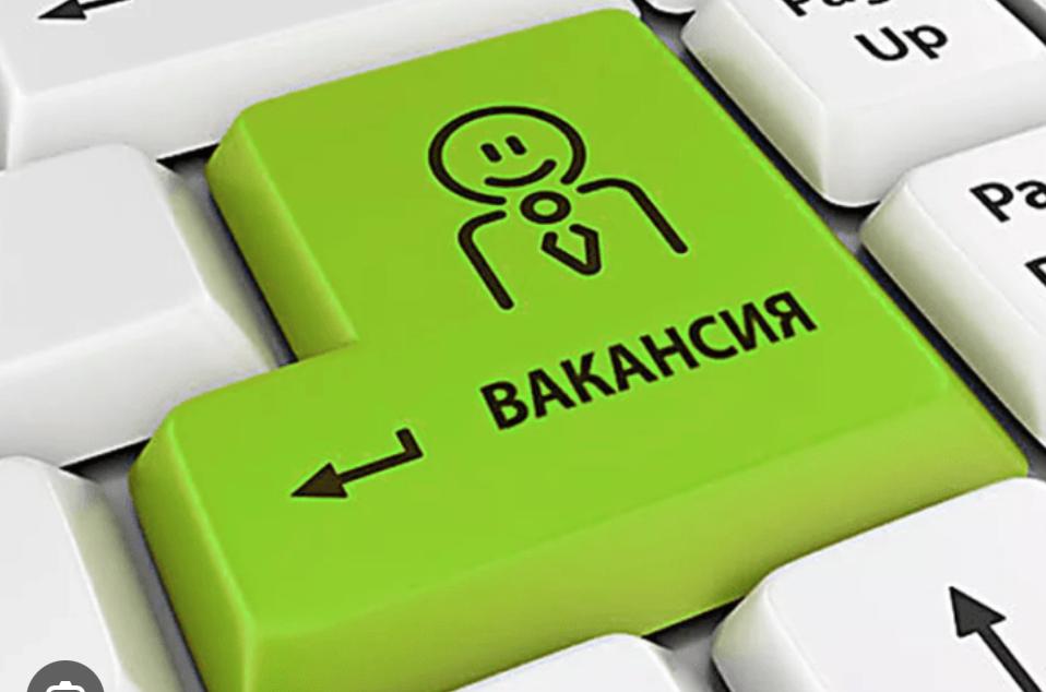 З початку повномасштабної війни до служби зайнятості прийшли шукати роботу 74 тисячі ВПО