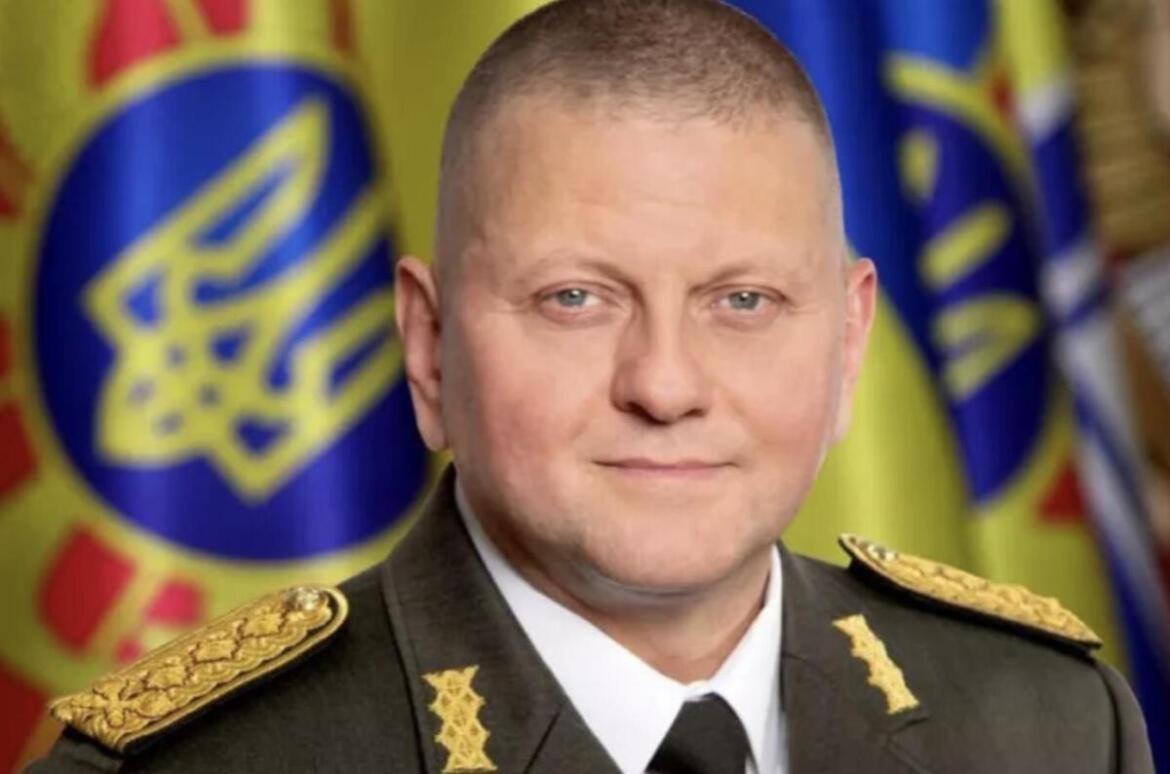 Цікаві факти з життя Головнокомандувача ЗСУ Валерія Залужного