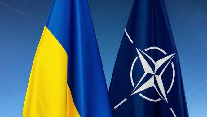 Названо країни, які найбільше підтримують запрошення України до НАТО