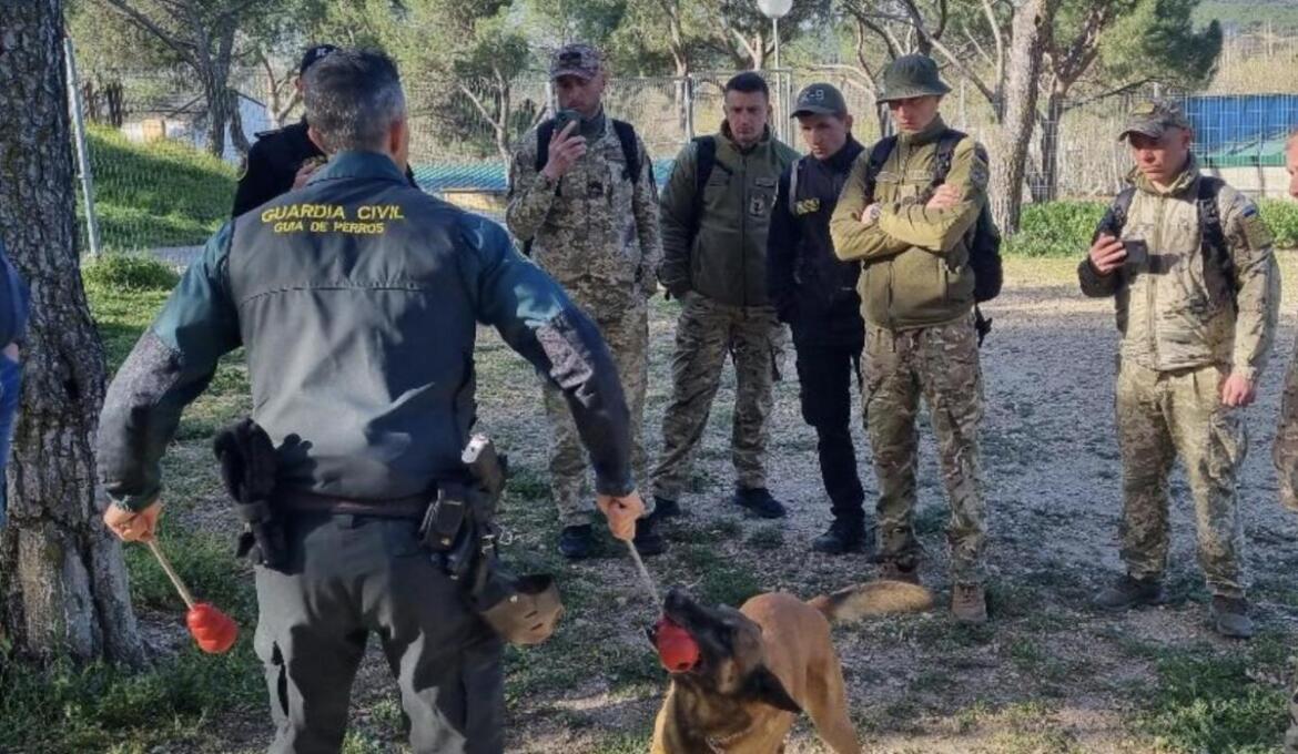В Іспанії українські прикордонники-кінологи завершили навчання з пошуку вибухонебезпечних предметів