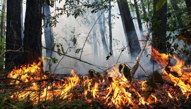 Українців попередили про надзвичайну пожежну небезпеку: що відомо