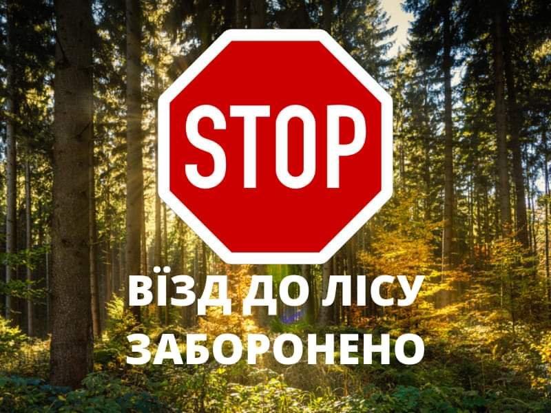 В Закарпатье запретили посещать леса: что известно