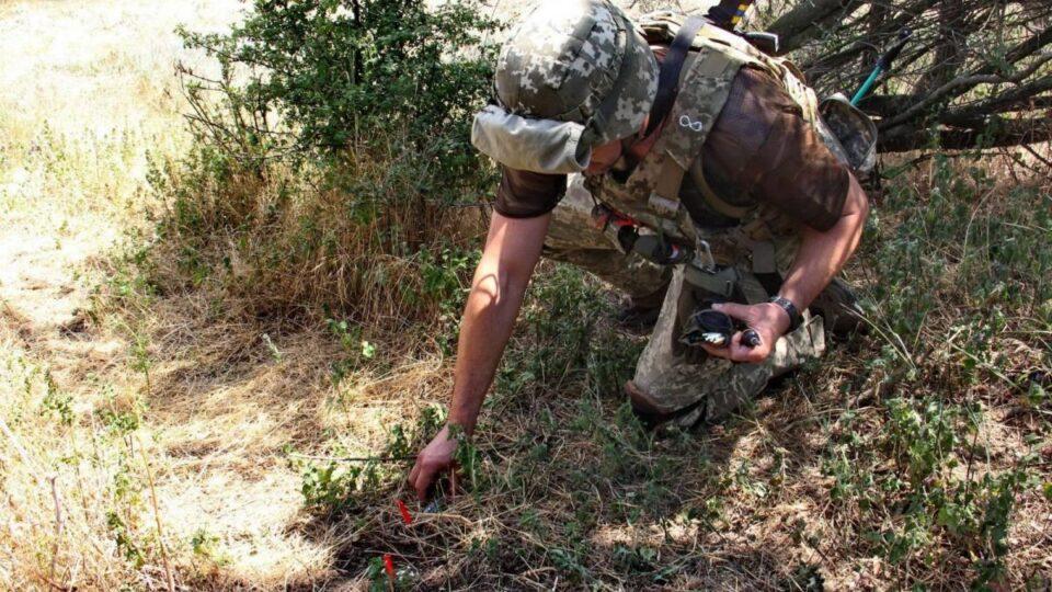 Дві азійські країни допоможуть з розмінуванням України