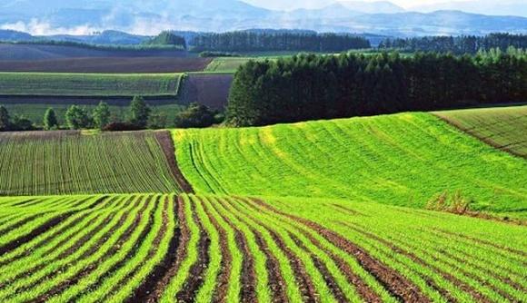 Переселенці на Сумщині можуть отримати земельну ділянку для садівництва