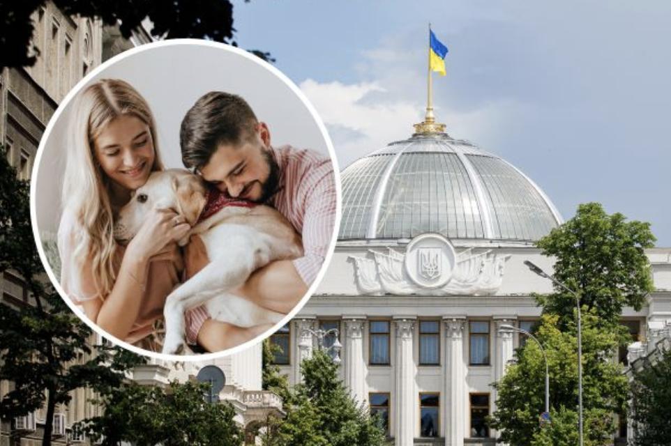 В Україні «чиновниця з Ради» дозволила собі образити жінок, які не мають дітей та власників собак