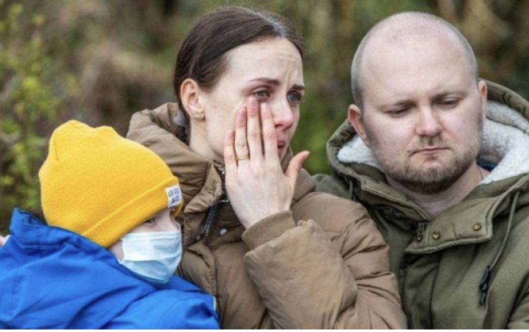 Зʼявилася інформація, де селитимуть біженців з України в Ірландії