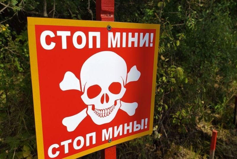 В Украине запустили сайт для обучения детей минной безопасности