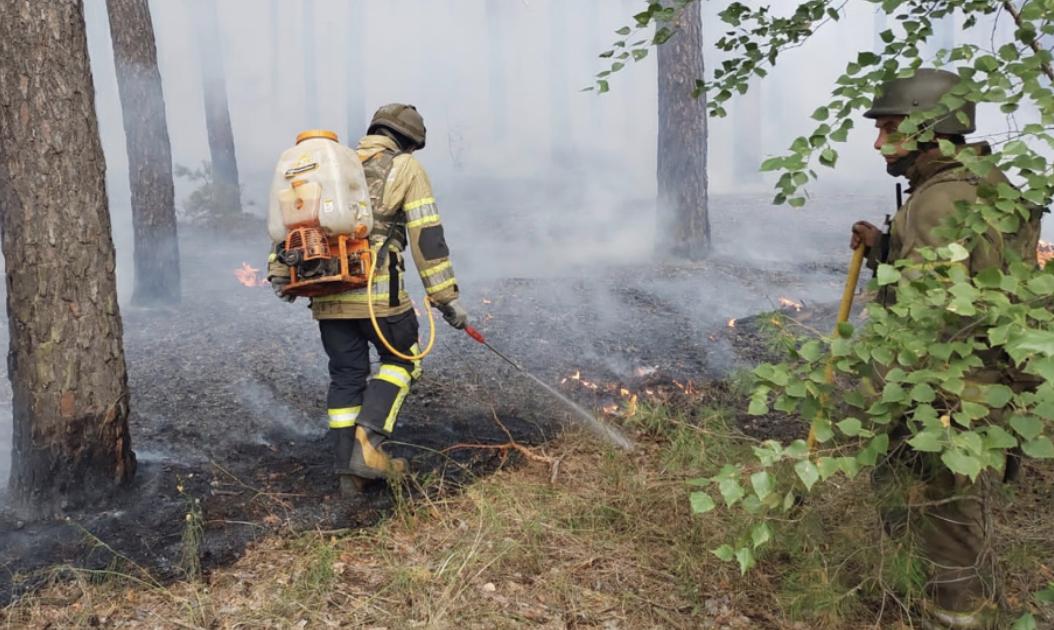 Рятувальники розповіли, скільки лісу згоріло через обстріли у Куп’янському районі