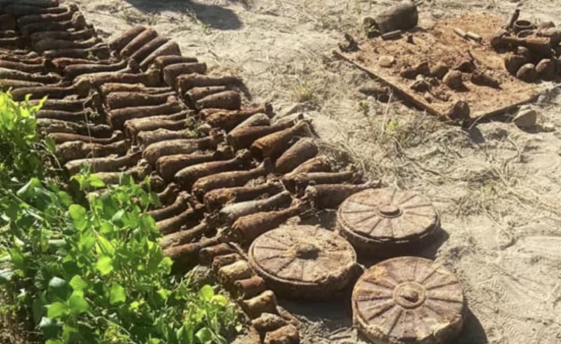 У Житомирі жінка викопала на городі близько сотні вибухонебезпечних предметів