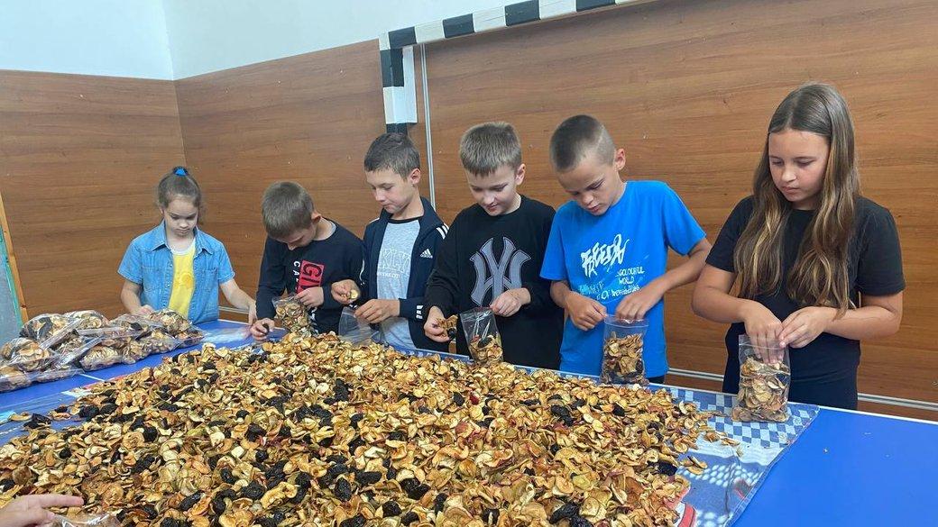 На Вінниччині школярі пакують трав’яні чаї для українських захисників