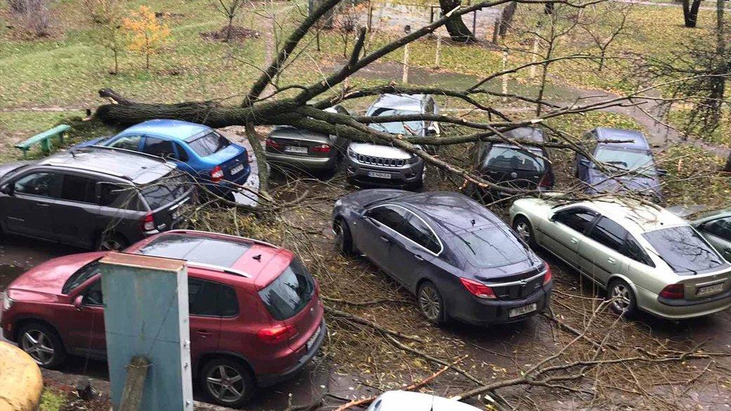 Понад 20 тисяч людей у двох регіонах через негоду залишилися без світла