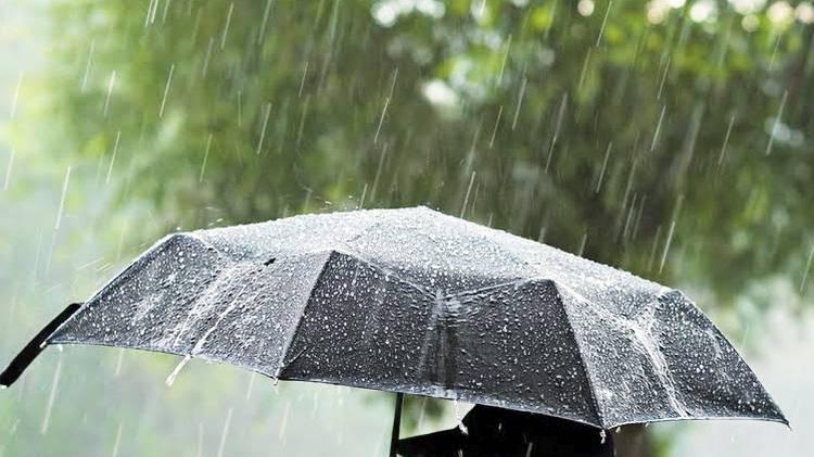 Сьогодні вдень в Україні до 16° тепла – прогноз