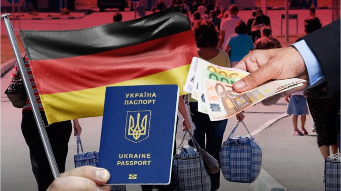 Який відсоток українських біженців у Німеччині має освіту та кваліфікацію ‒ дослідження