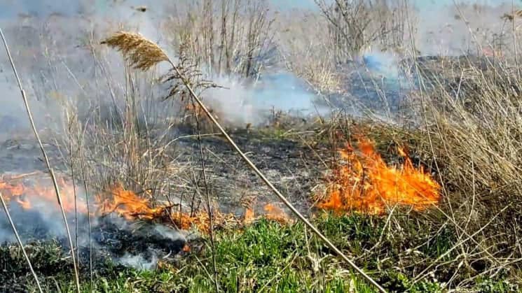 На Чернігівщині окупанти використовують БПЛА з запалювальною сумішшю