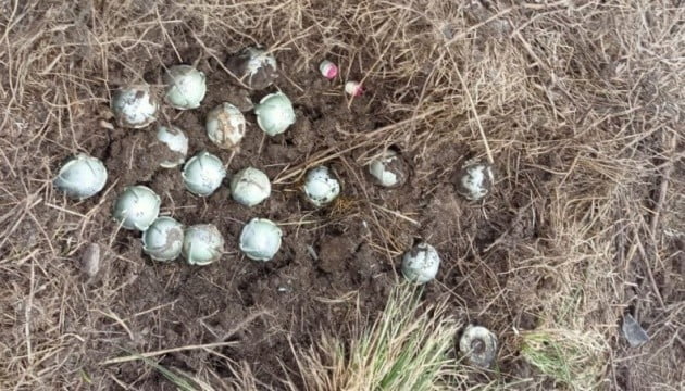 У ДСНС розповіли, як російські війська використовують кулькові осколкові авіаційні бомби ШОАБ-0,5