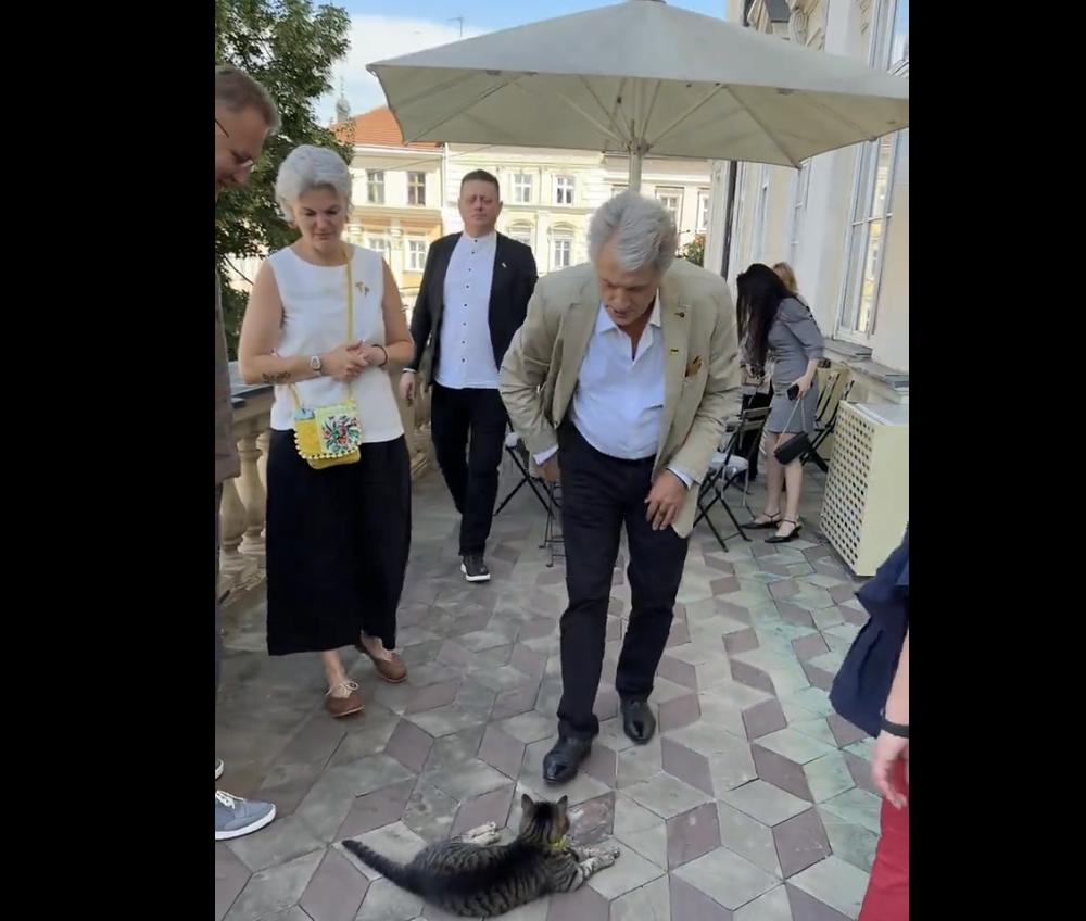У Львові кіт міського голови Андрія Садового напав на колишнього президента України Віктора Ющенка