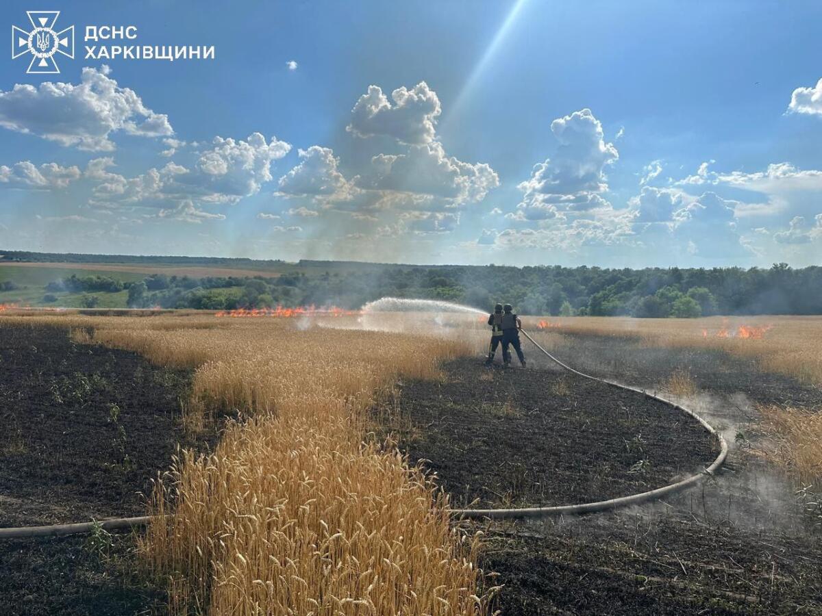 У Харківській області через дії російських військ горіло пшеничне поле