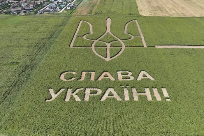 На Київщині аграрії використали насіння соняшника для створення герба України 