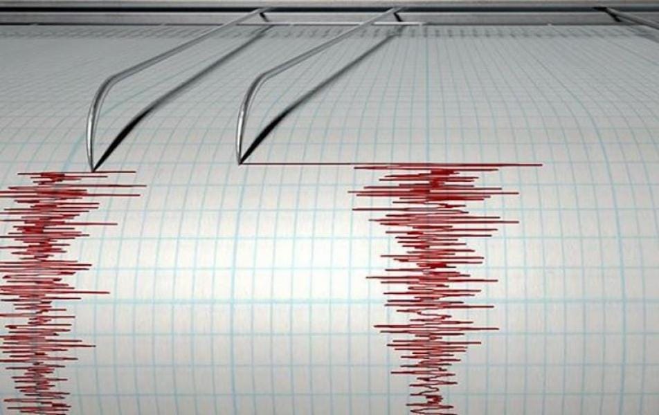 В Україні зафіксували землетрус: що відомо