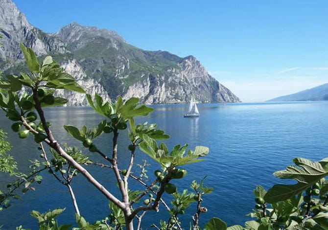 Благодійники запрошують дітей ВПО на італійській відпочинок