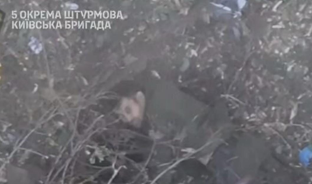 На Покровському напрямку захисники України ліквідували штурмову піхоту противника 